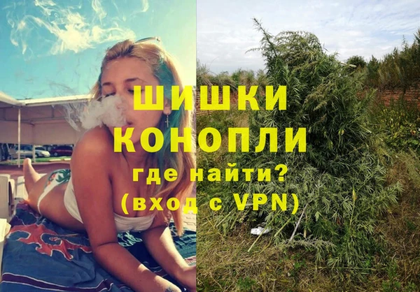 Альфа ПВП Белокуриха